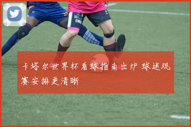 卡塔尔世界杯看球指南出炉 球迷观赛安排更清晰
